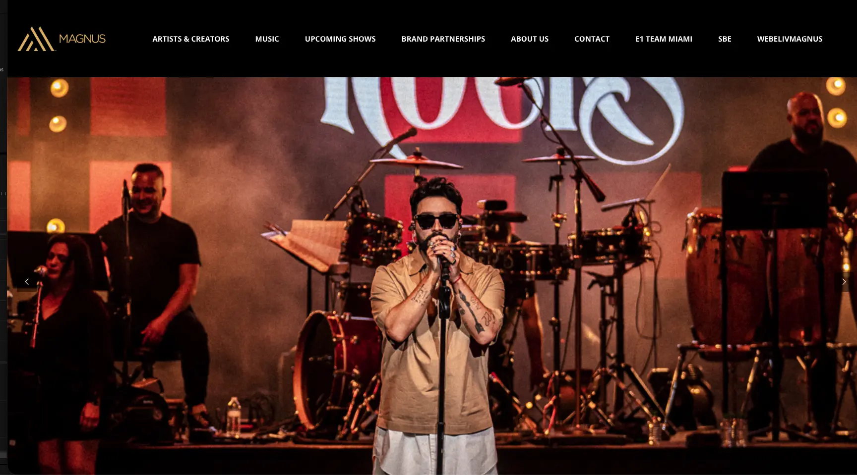 Magnus Media Web Update